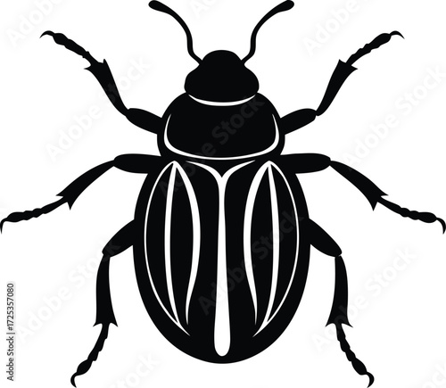 beetle vector, pest illustration art 