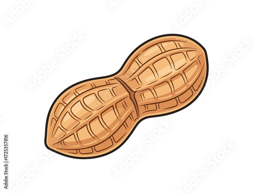 Peanut Vector Illustration in Brown with Detailed Design on White