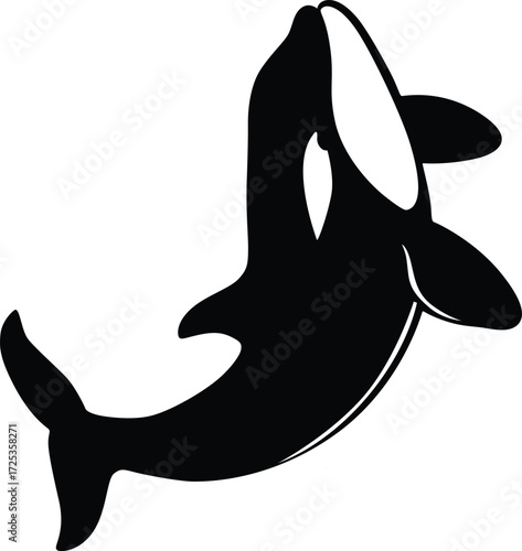 Orca Whale Silhouette Vector – Killer Whale Black and White Sea Animal Illustration