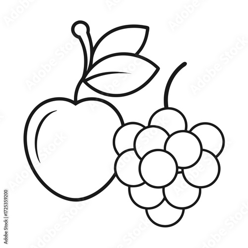 zinfandel grape fruit line art