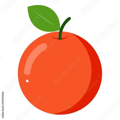 zinfandel grape fruit on white background
