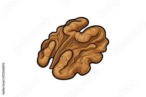 Walnut kernel vector illustration isolated on white background