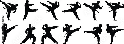 Martial arts silhouettes, karate poses, taekwondo icons, fighter stances, self-defense moves, athlete design, combat training, sports outline, vector illustration