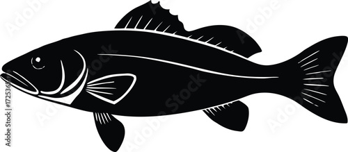 fish vector icon, freshwater fish illustration