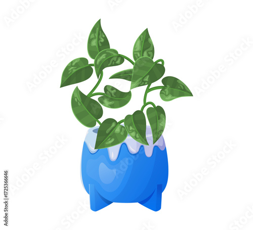 Pothos in pot vector illustration