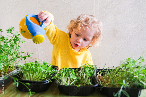 A young child is watering plants in a garden