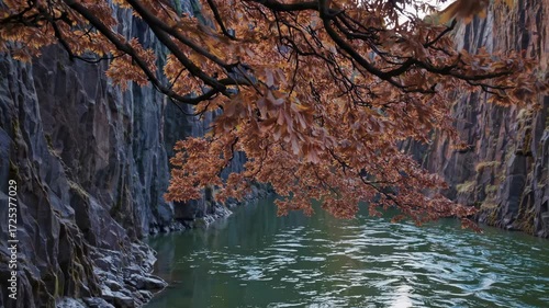 Tranquil Canyon Scene with Overhanging Autumn Leaves Reflected in Calm Water, Creating a Serene and Picturesque Escape in Nature