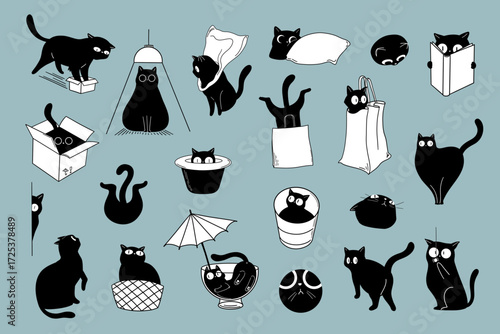 Black cats in various poses and containers on a blue background