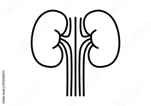 Icono negro de riñones en fondo blanco