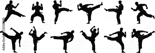 Martial arts silhouettes, karate kick icons, taekwondo vector set, kung fu poses, self defense illustration, fighter stance graphics, combat training design