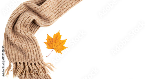 Warm beige knitted scarf and single maple leaf symbolize cozy autumn