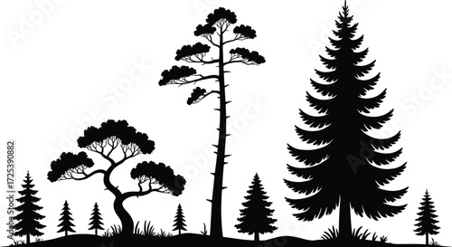 Tree silhouette vector collection forest evergreen pine cedar