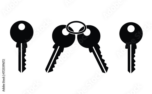 WebUnlock your potential with simple black and white keys, symbolizing security, access, and new opportunities for growth and success in business or personal life