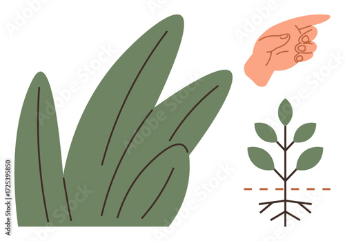 Green plant with roots and leaves, large foliage, and a pointing hand. Ideal for growth, environment, nurturing, gardening, sustainability education nature. Simple flat metaphor