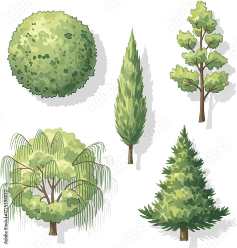 Create a kinds of deferent tree top watercolor hand drawn view isolated on white background for landscape plan and architecture layout drawing, elements for environment and garden vector art .