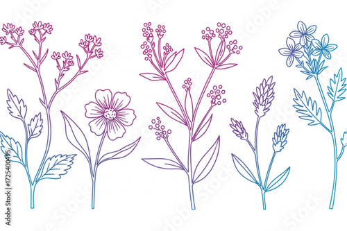 Elegant floral line art with vibrant gradient colors, perfect for invitations, stationery, or a modern design accent with a fresh, organic feel