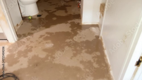 Flooded Carpet in Bathroom, Water Damage Repair.