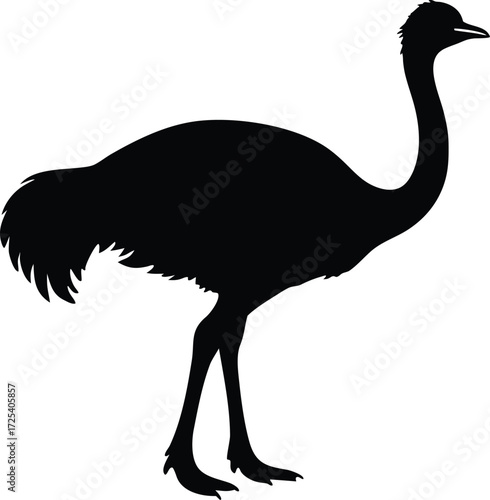 ostrich bird icon, wildlife silhouette design