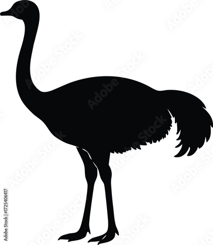 ostrich silhouette vector, bird illustration art
