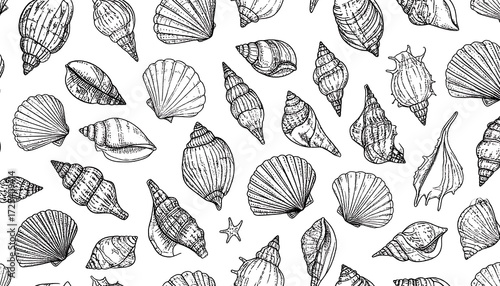 Seashell pattern