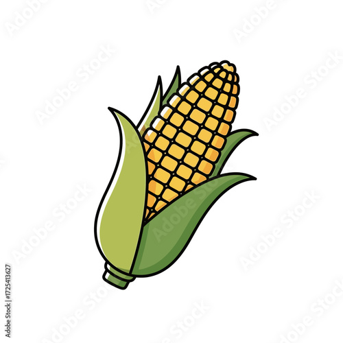 Vector illustration of a fresh corn on the cob. A healthy vegetable ingredient for culinary recipes and cooking designs