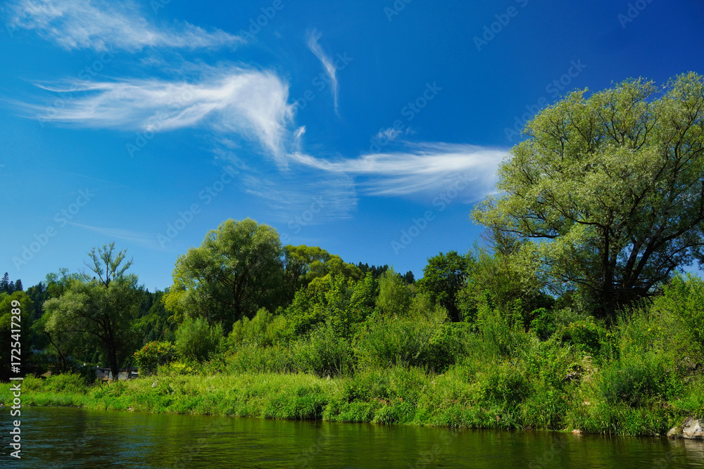 Fototapeta premium The Dunajec River forms a picturesque gorge in the Pieniny Mountains in Poland.