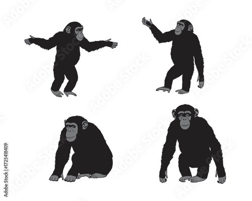 Four distinct black silhouette chimpanzee illustrations showcasing various poses and movements on a clean white background