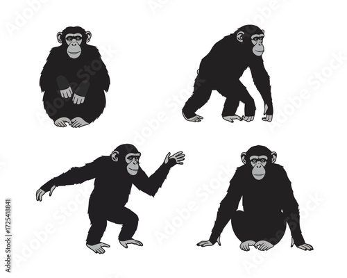 Four distinct chimpanzee poses in silhouette against a white background showcasing different stances and movements of the primate