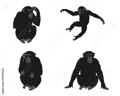 Four distinct silhouette poses of chimpanzees showing different behaviors and movements against a white background