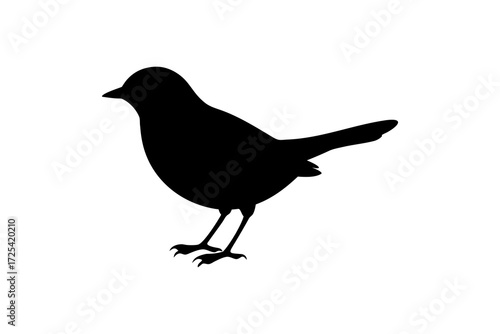 silhouette of a bird