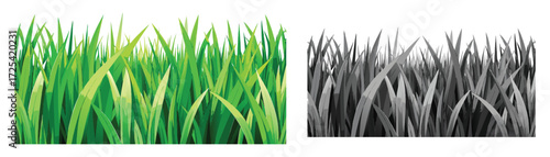Nature Field Lush Green Grass Border. These vector pictograms of a grass, green, nature, field, lawn, growth, plant, fresh, spring, summer, isolated, border, edge, natural illustration. 