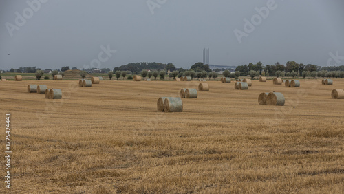 Skåne landscape after harvest time
