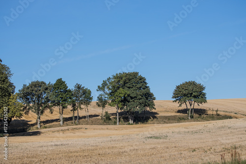 Skåne landscape after harvest time