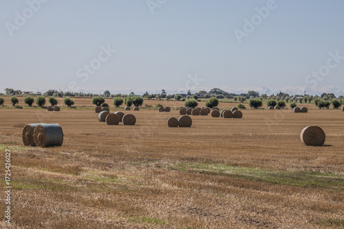 Skåne landscape after harvest time