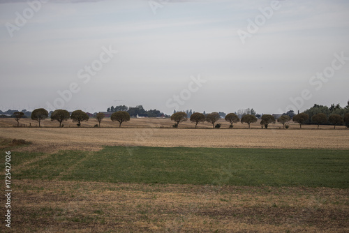 Skåne landscape after harvest time