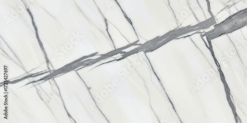 Vector art of elegant white marble slab with striking gray veins, creating a luxurious and sophisticated aesthetic for modern interior design applications