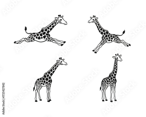 Four hand drawn cartoon giraffes in different poses including running jumping standing and looking up against a white background