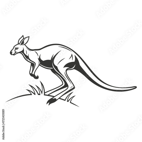 Kangaroo Jumping Animal Wildlife Graphic Design Illustration