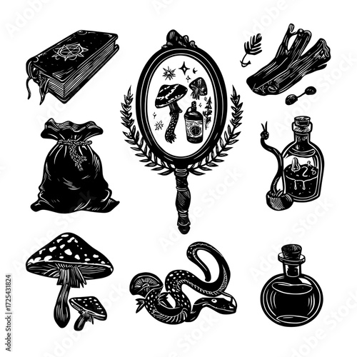Magical items including a witch's mirror, spellbook, bird foot, and a sack containing dry herbs, fly agaric mushroom, and a bottle with a snake are assets for a game featuring isolated wizard