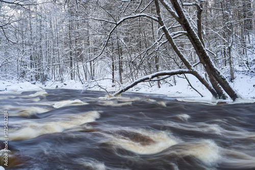 river in winter forest