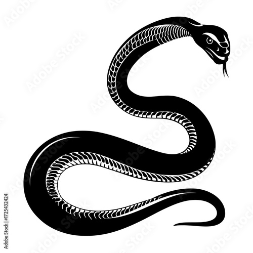 A set of modern cartoons featuring various snakes, including the black mamba, scarlet milk snake, california red-sided garter, green tree python, trimeresurus salazar, and blue insularis, isolated on
