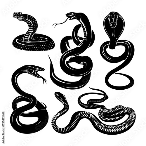 A collection of snakes, including cobras, california mountain kingsnakes, green tree pythons, ball pythons, trimeresurus salazar, and insularis, are depicted in isolation on a white background