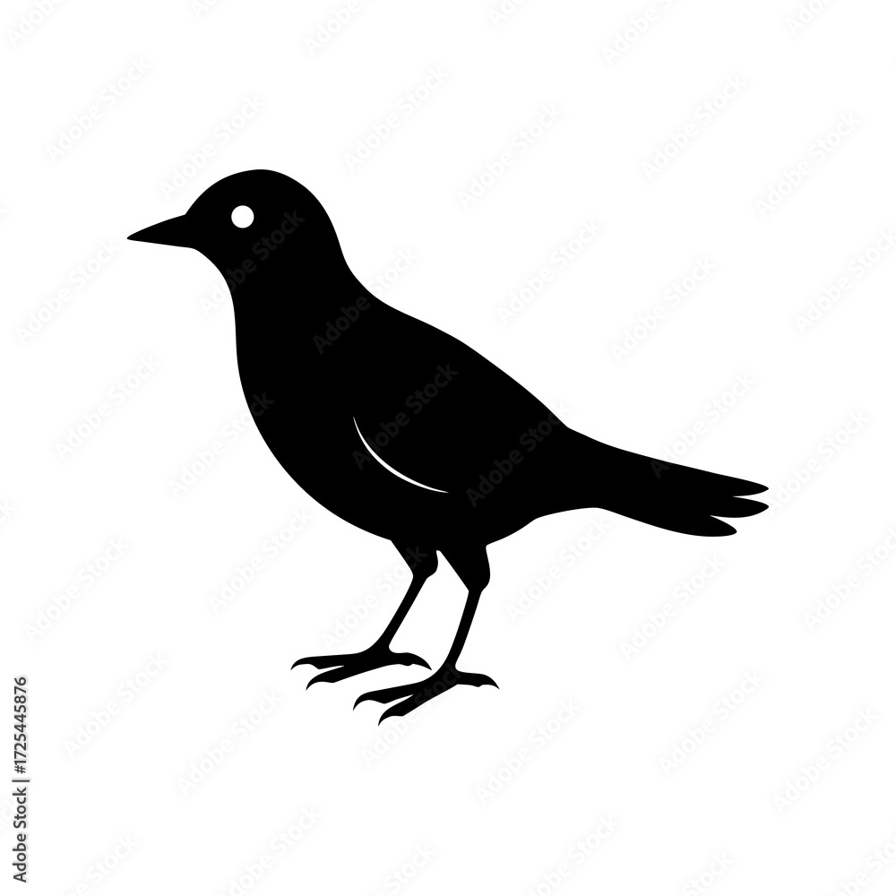 Fototapeta premium Silhouette of a Bird on a white background