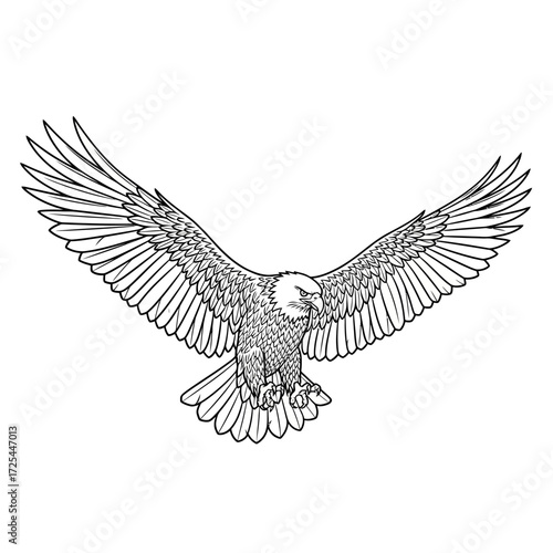 Soaring eagle with outstretched wings, a symbol of freedom, power, and determination ready to add impact to your designs and inspire greatness