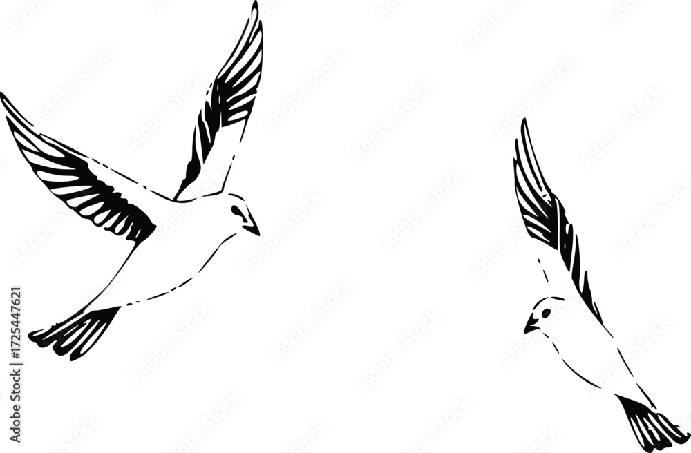 Obraz premium Hand Drawn Pigeon in Flight