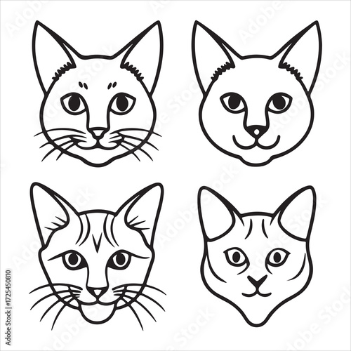 An Elegant and Playful Somali Cat, a Longhaired Abyssinian Variant with a Bushy Foxtail and Stunning Ruddy Coat for Display