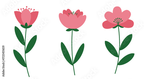 Three simple pink flowers with green stems and leaves illustration