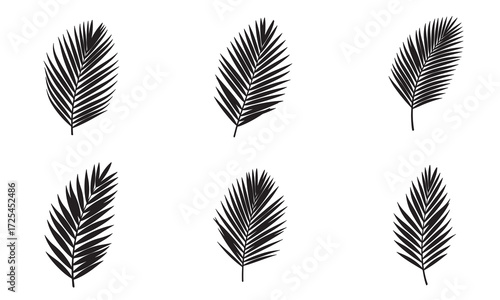 Silhouette of  Sex  Tropical Palm Leaf
