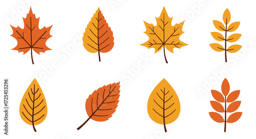 A collection of colorful autumn leaves in various shapes and shades