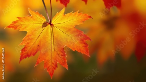 Wallpaper Mural Vibrant Orange Maple Leaf Captured in Nature's Autumn Splendor against a Warm Yellow Background Torontodigital.ca